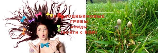 крисы Белокуриха
