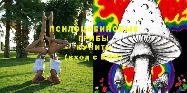 прущие крисы Белоозёрский