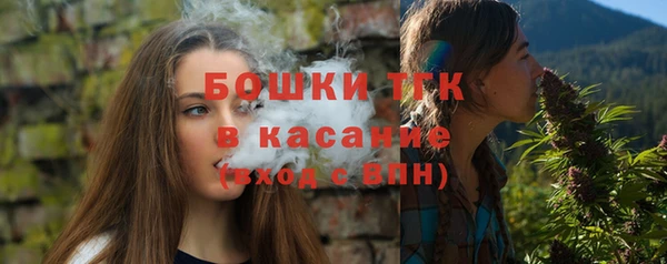 крисы Белокуриха